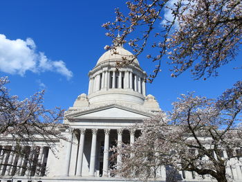 Capitol in Olympia with blossoms