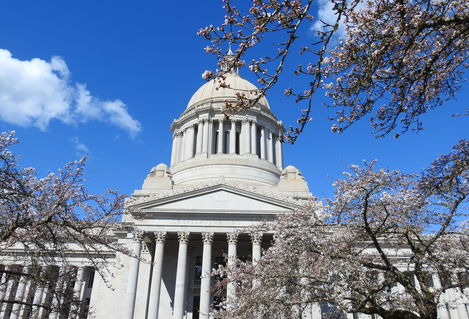 Capitol in Olympia with blossoms